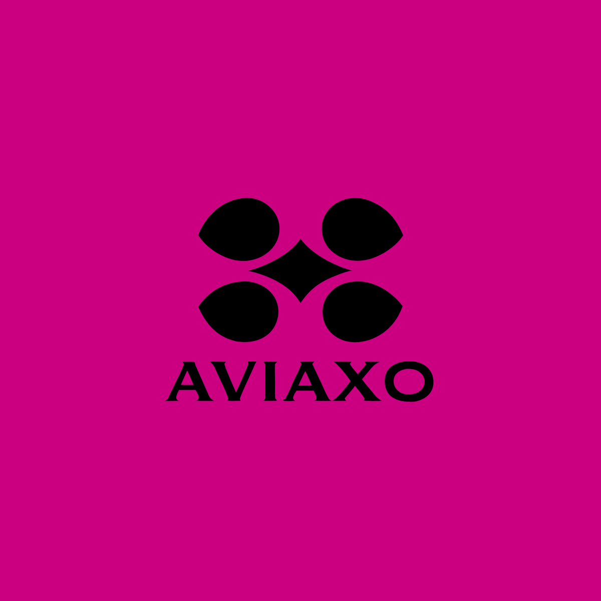 aviaxo.com