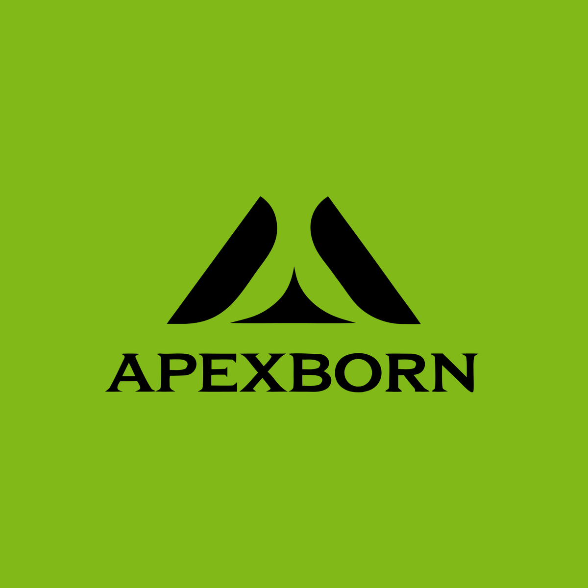 apexborn.com Logo Image