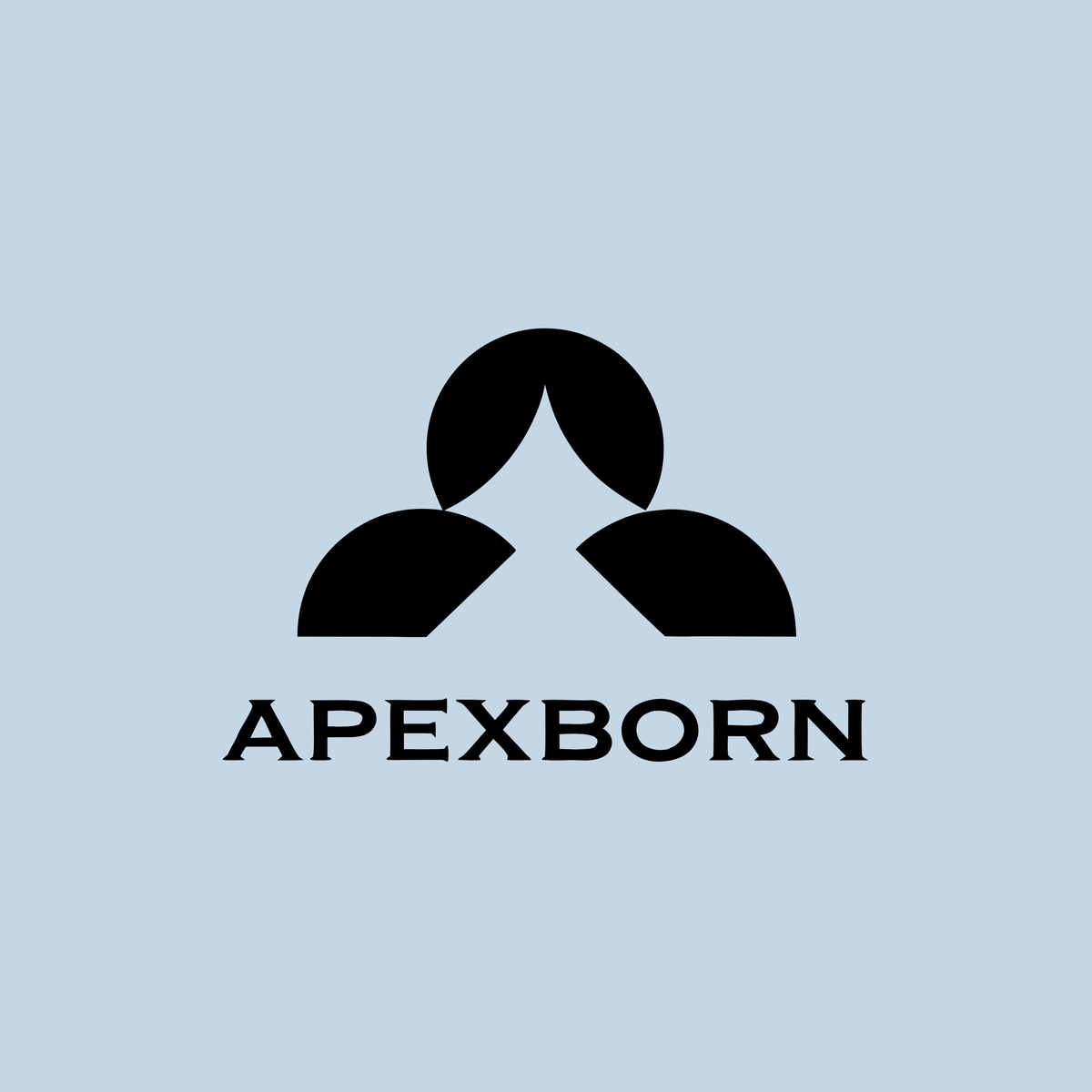 apexborn.com
