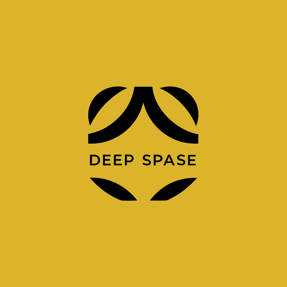 deepspase.com