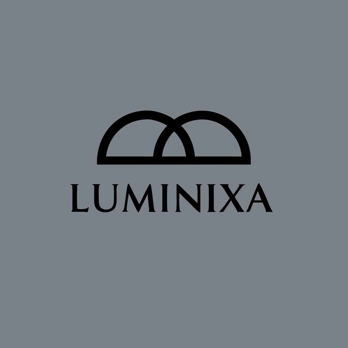 luminixa.com