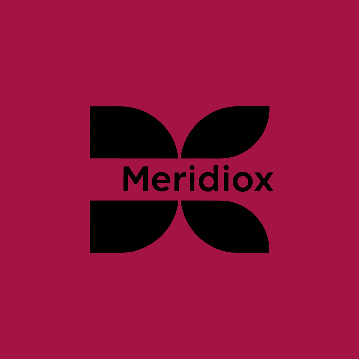 meridiox.com Logo Image
