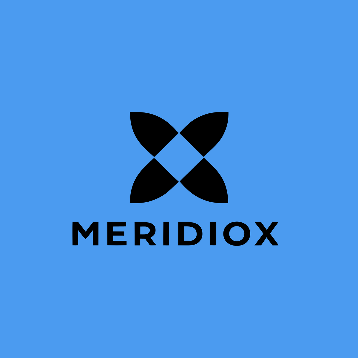 meridiox.com