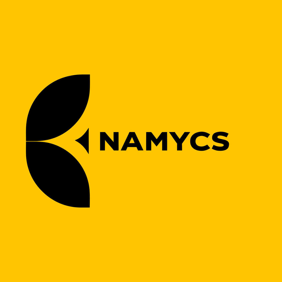 namycs.com Logo Image