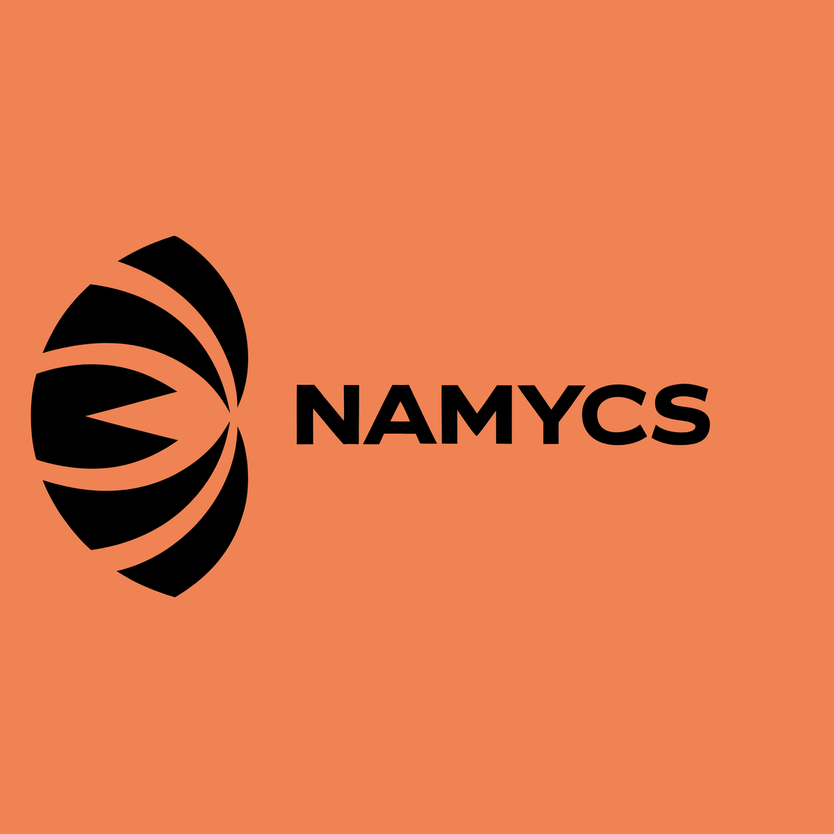 namycs.com