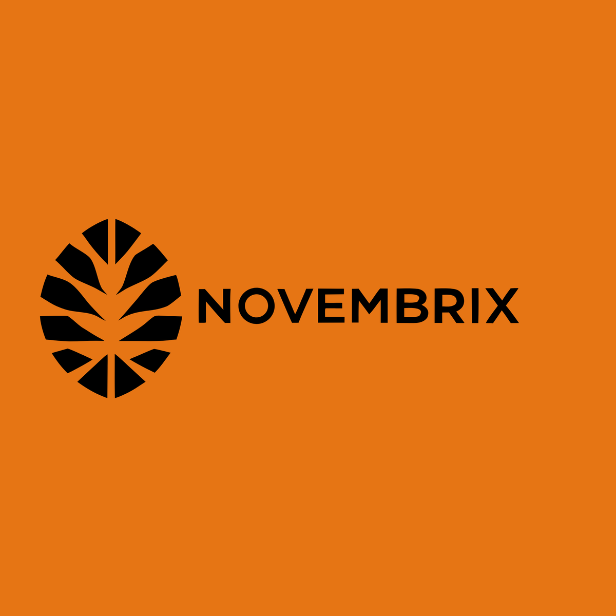 novembrix.com