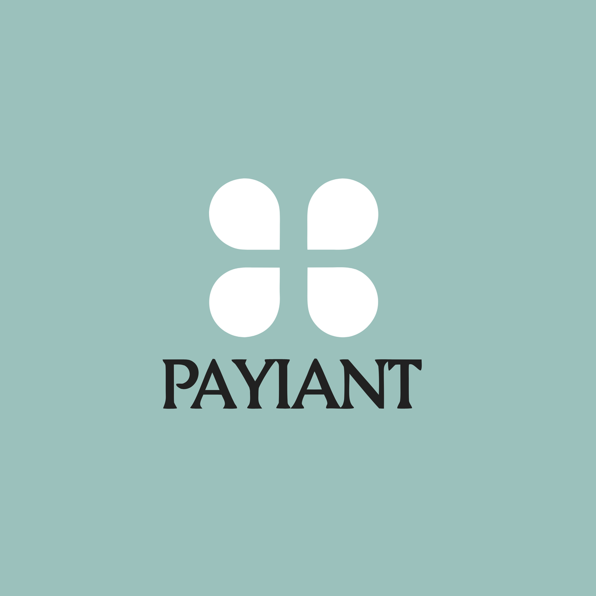 payiant.com Logo Image
