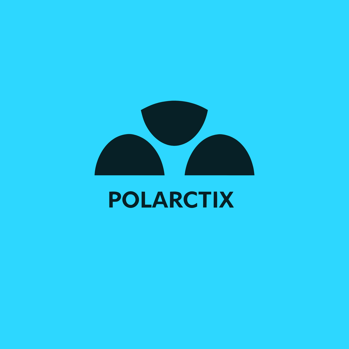 polarctix.com