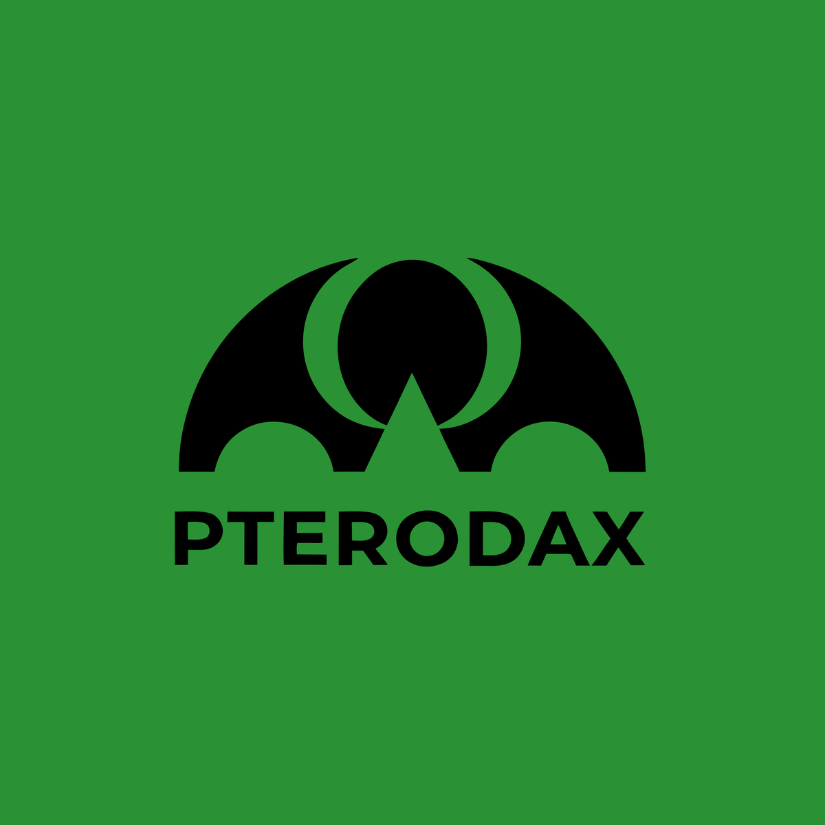 pterodax.com Logo Image