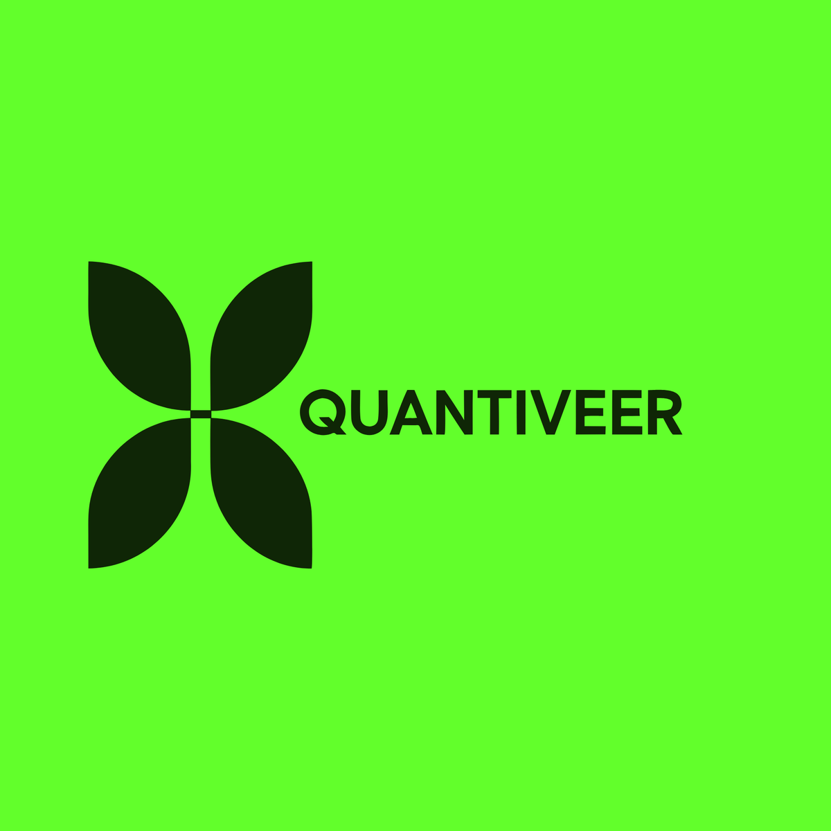 quantiveer.com Logo Image