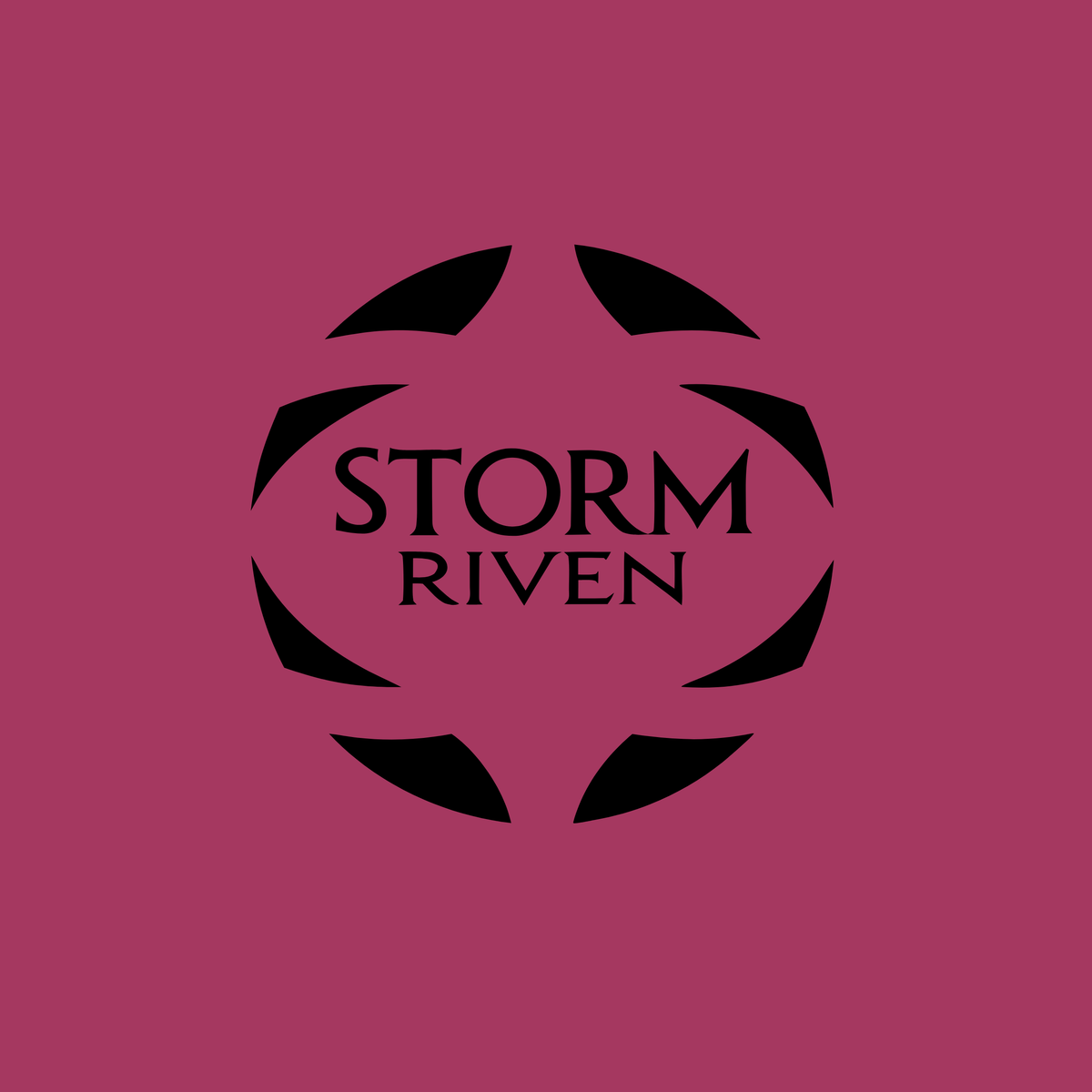 stormriven.com