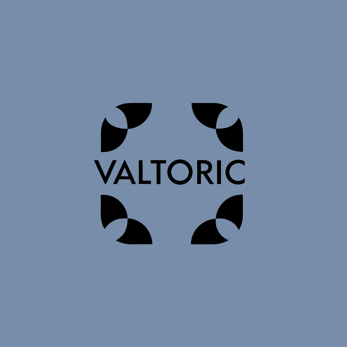 valtoric.com