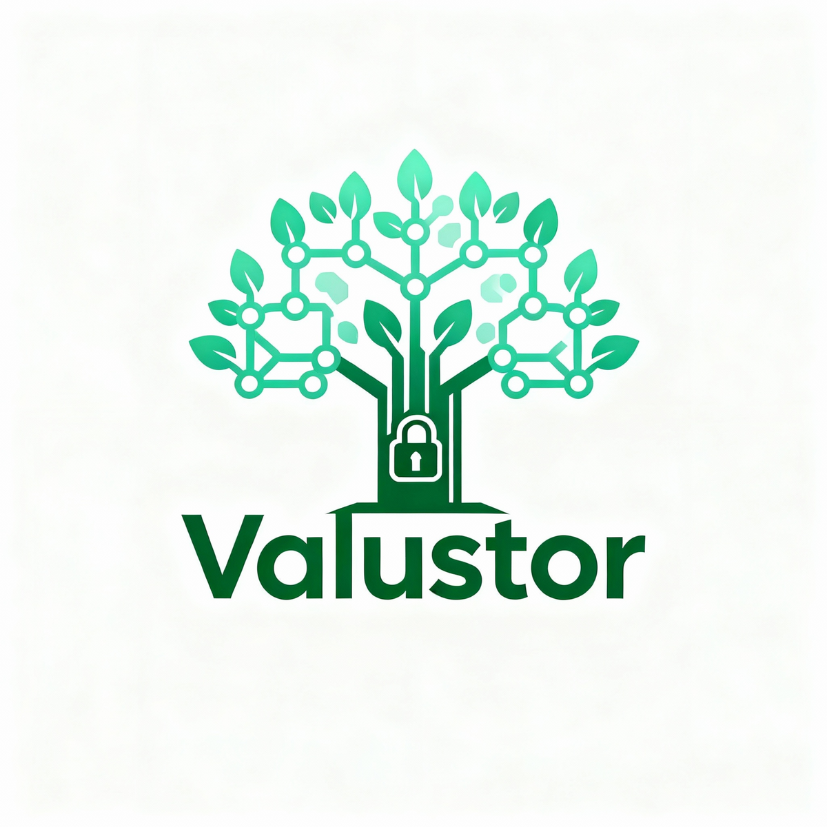 valustor.com