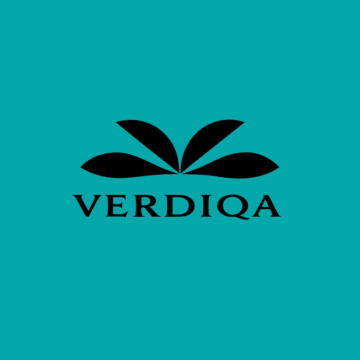 verdiqa.com