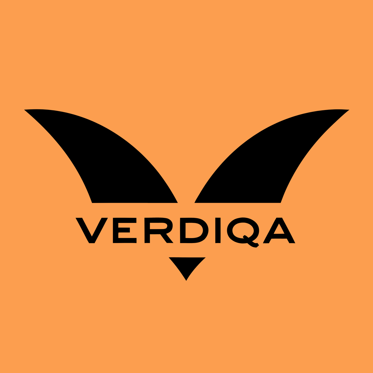 verdiqa.com