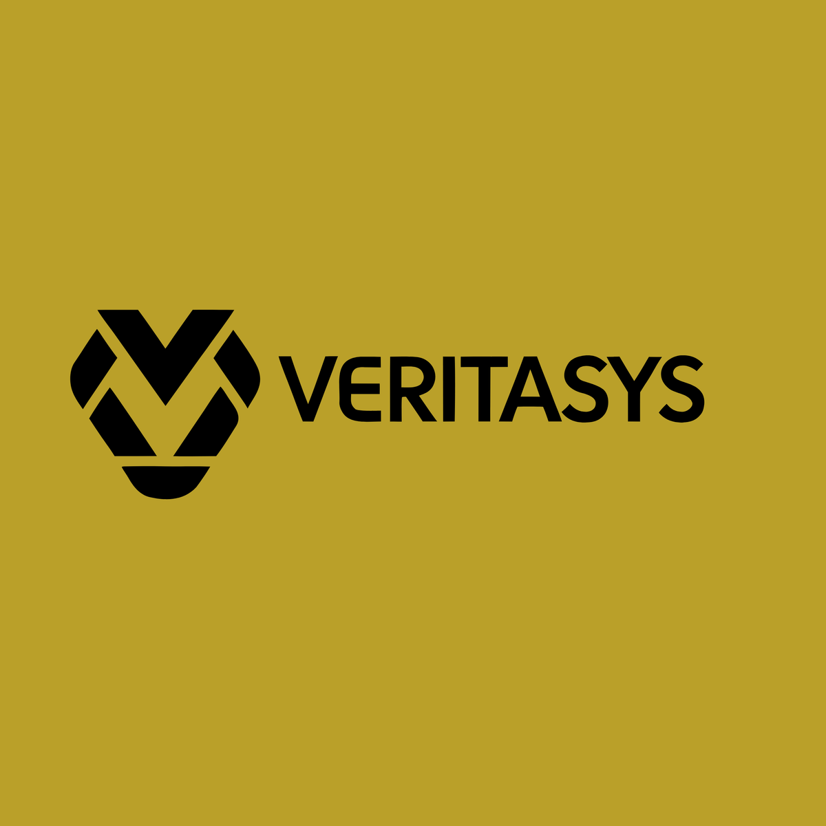 veritasys.com