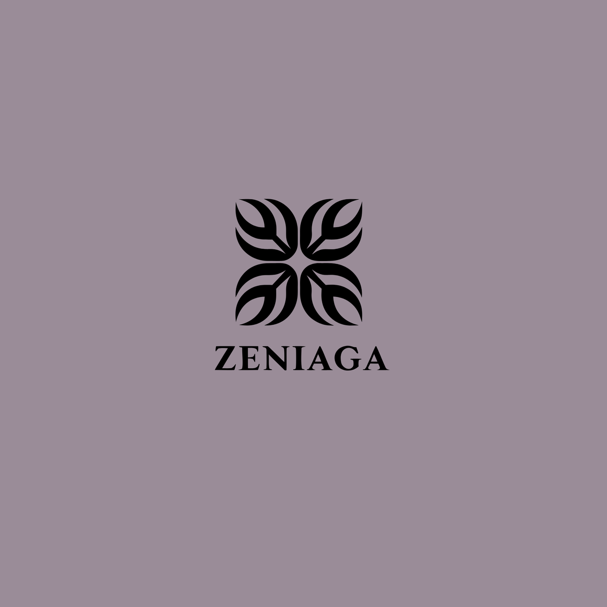 zeniaga.com