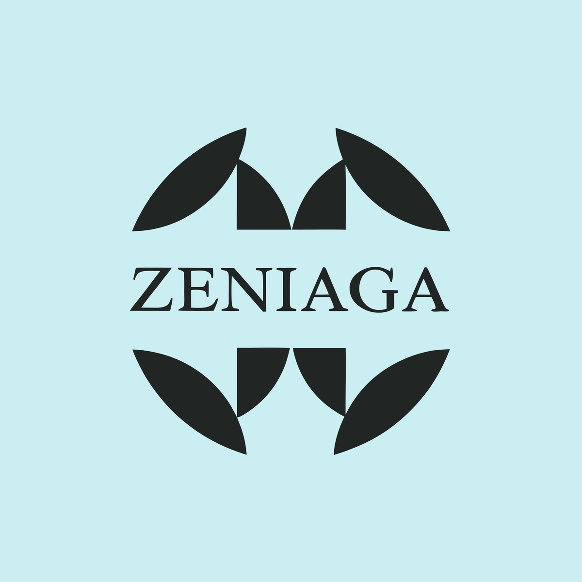 zeniaga.com