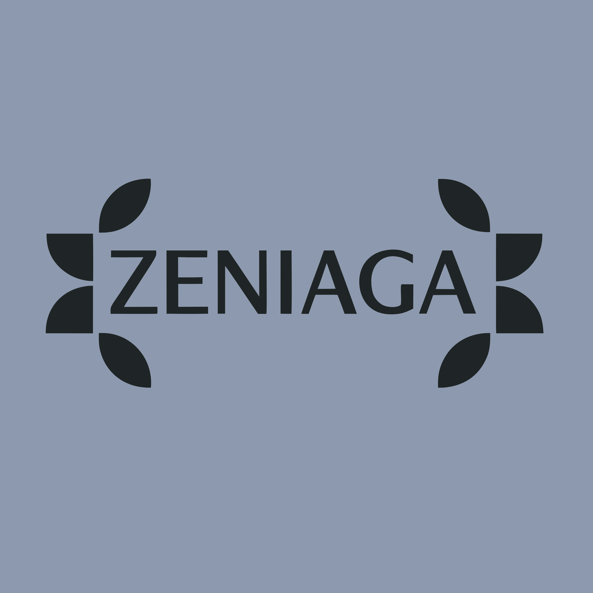 zeniaga.com