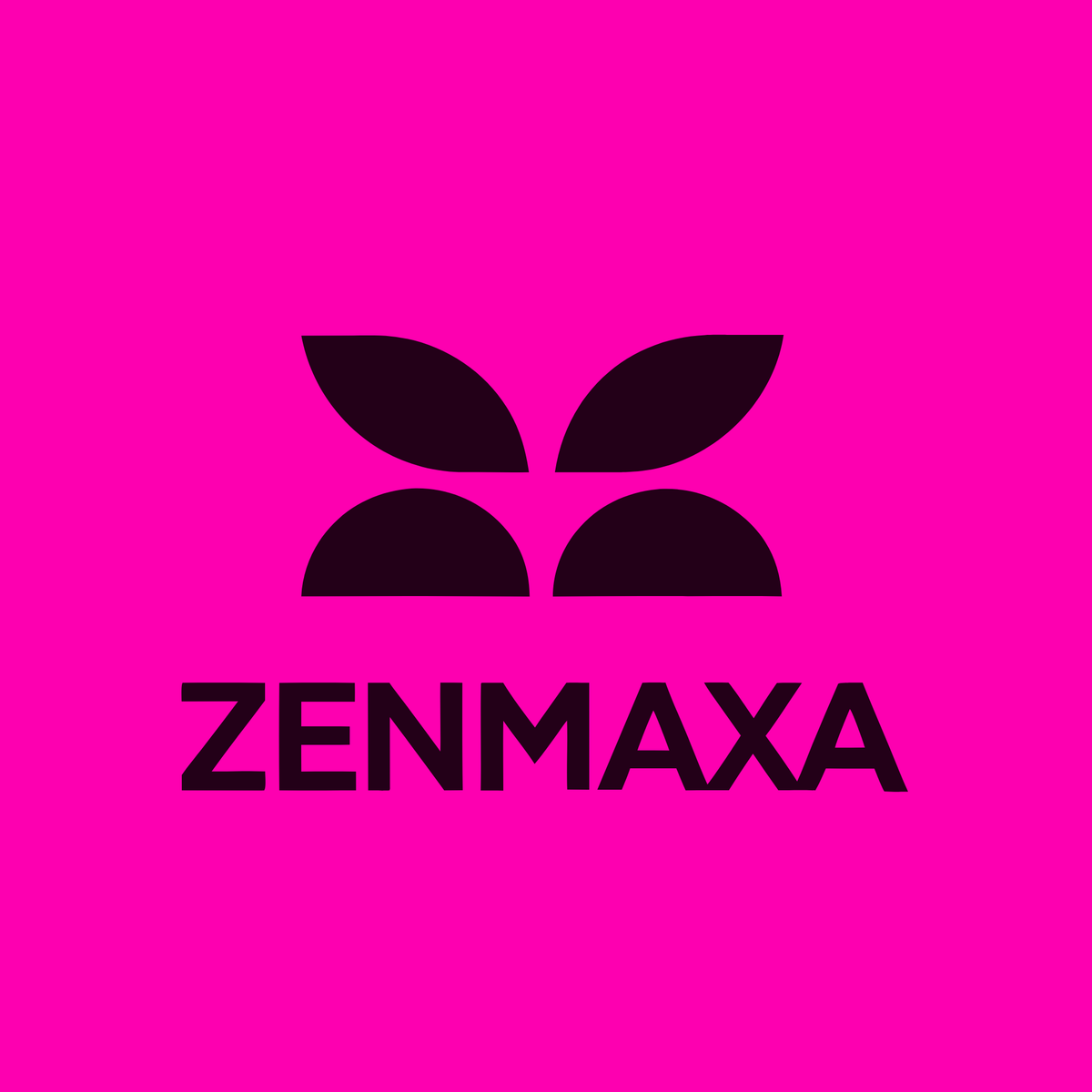 zenmaxa.com