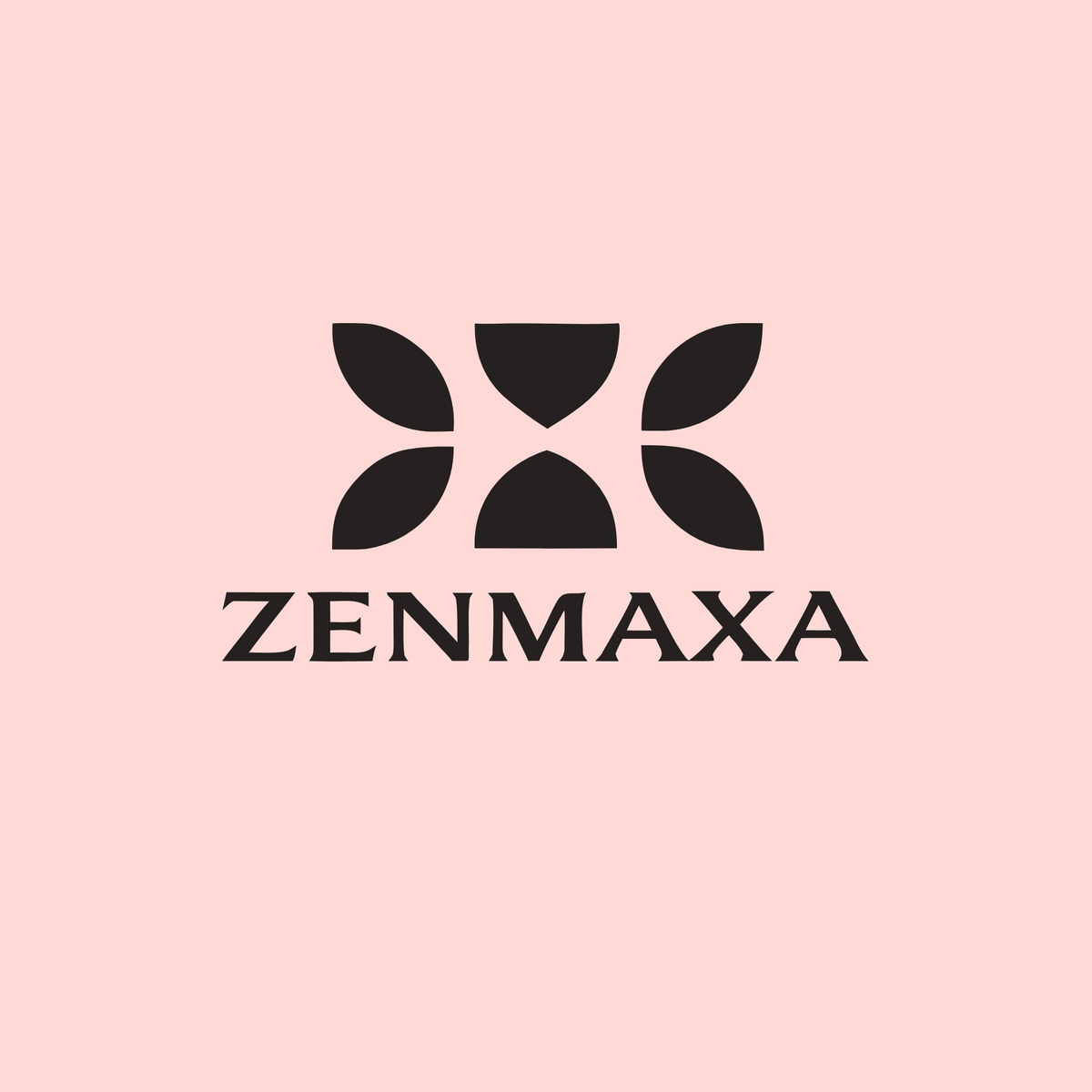zenmaxa.com