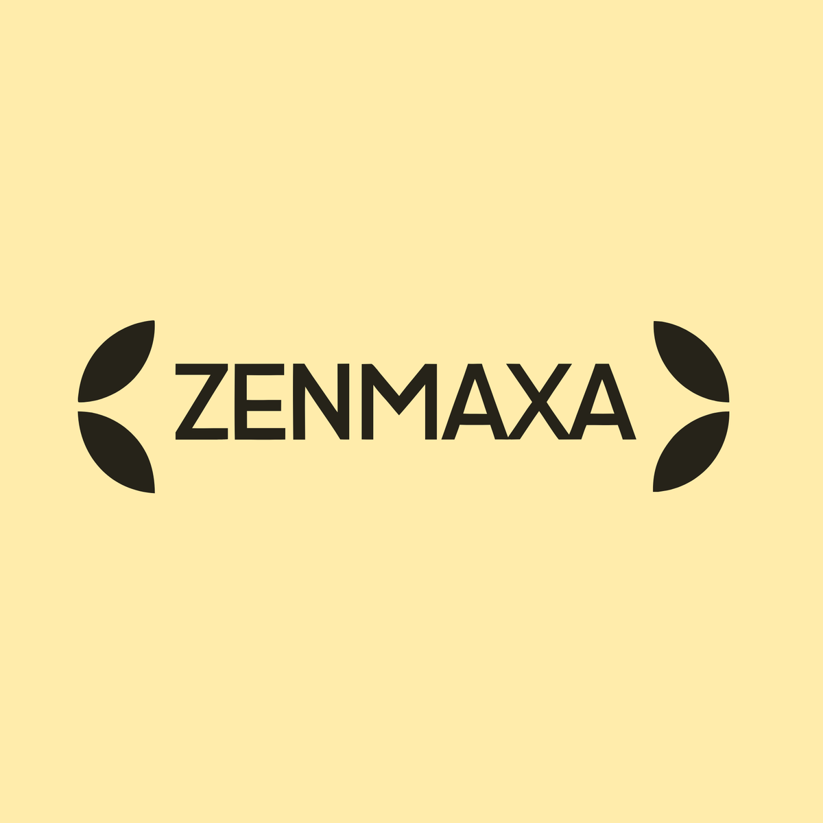 zenmaxa.com