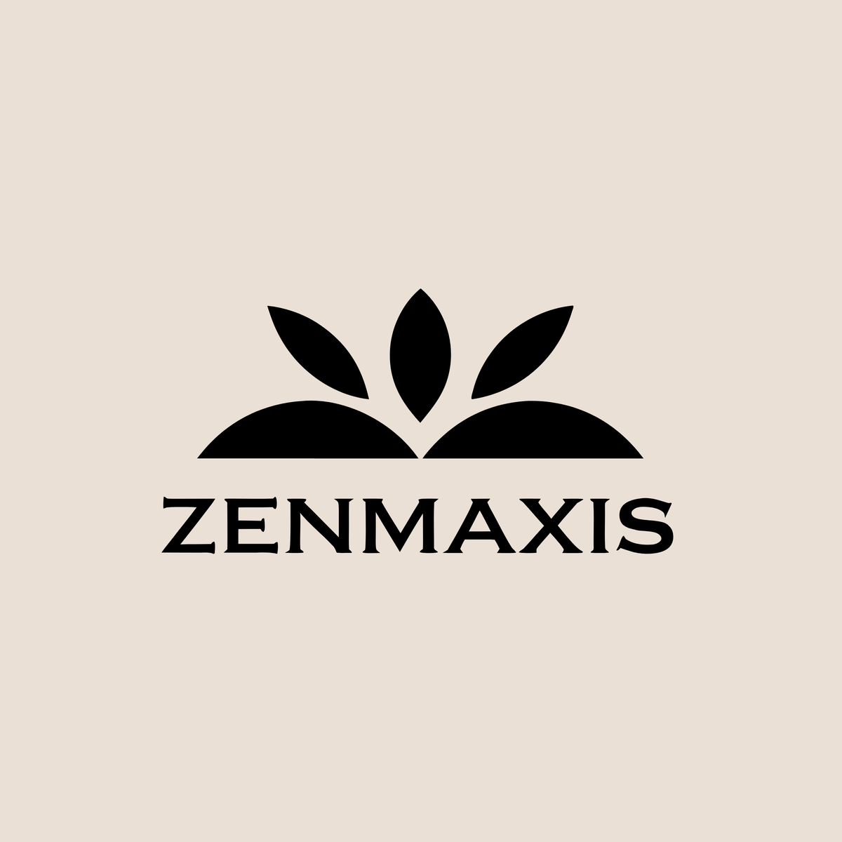 zenmaxis.com